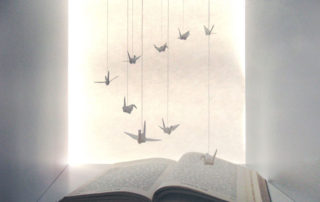 Book Cranes, by Midori Furze
