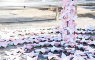 Cherry Blossoms Project (Fukushima Charity)
