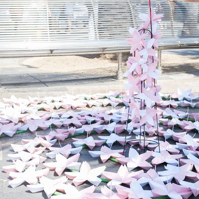 Cherry Blossoms Project (Fukushima Charity)