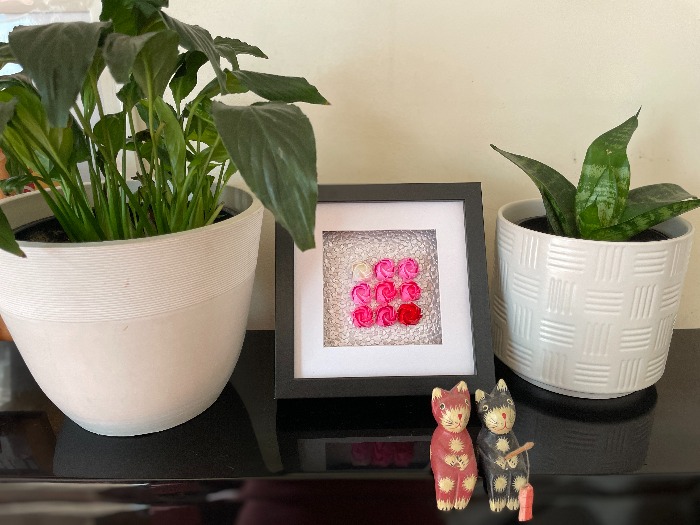 Pink Roses on the piano