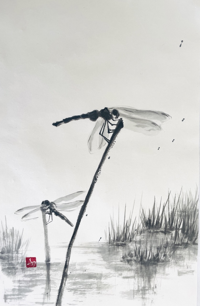 2 dragonflies on the water
