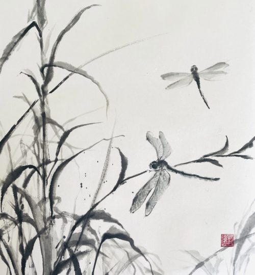 2 dragonflies