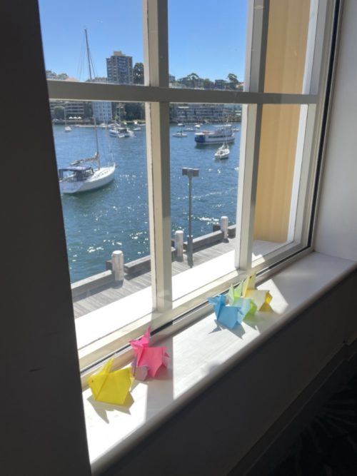 origami bunnies watching over the lavender bay