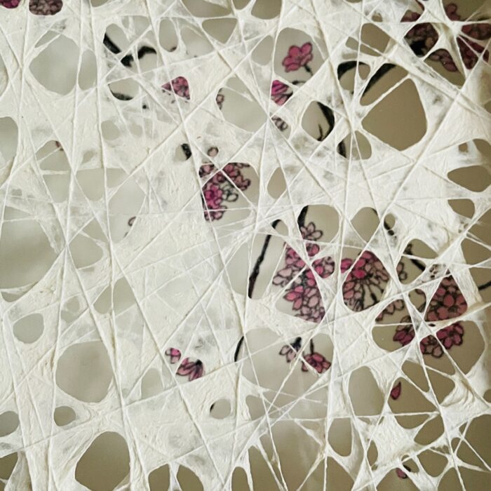 MidoriFurze,OnlytheCherryBlossomsKnow_3 Cherry Blosoms Memory